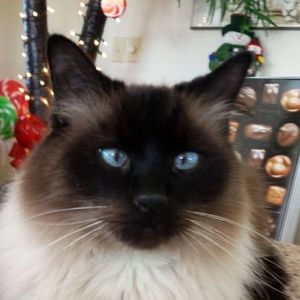 Meet your Posher, Kelly